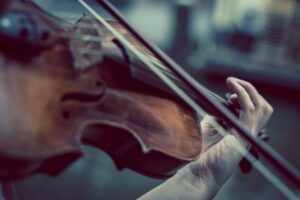 violin, violinist, music-374096.jpg